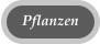 Pflanzen