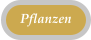 Pflanzen